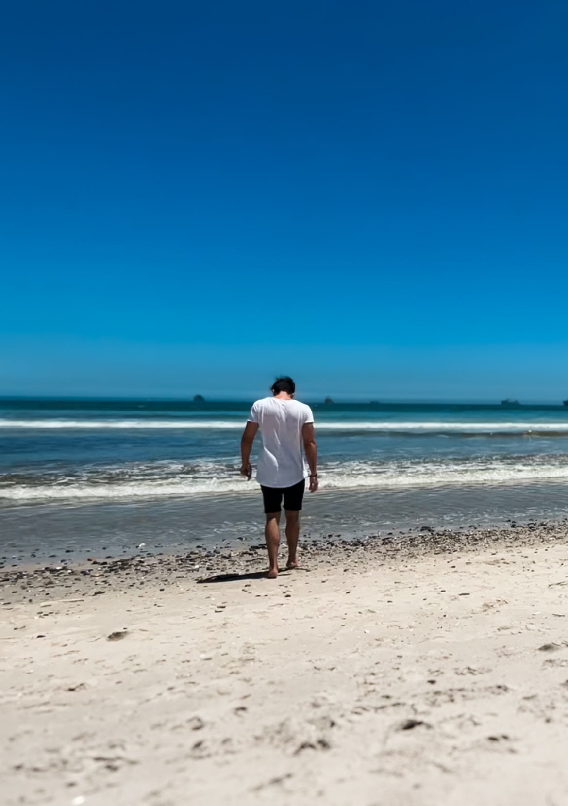 Walking the shoreline searching for shark teeth